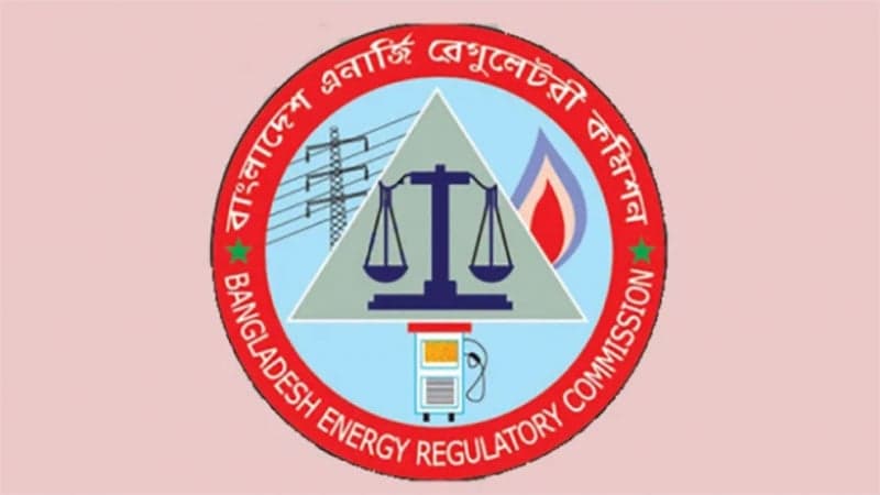 Ordinance issued revoking govt's ability to raise power, energy prices bypassing BERC