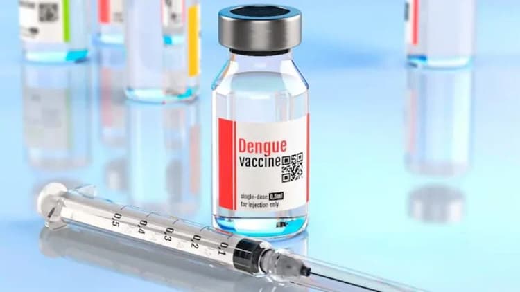 Brazil approves world’s first single-dose dengue vaccine