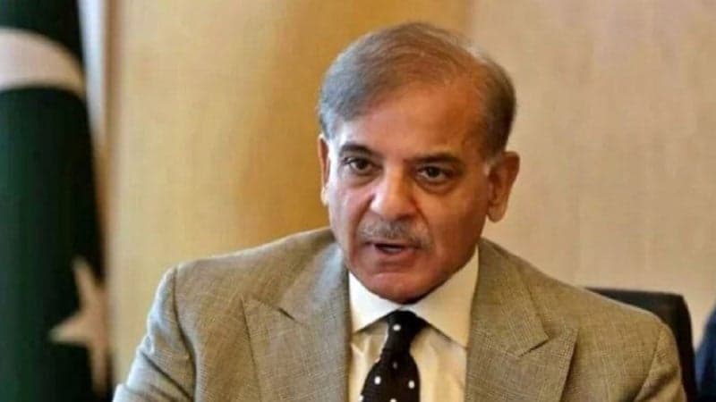 We will not play against India in T20 world cup: Shehbaz Sharif