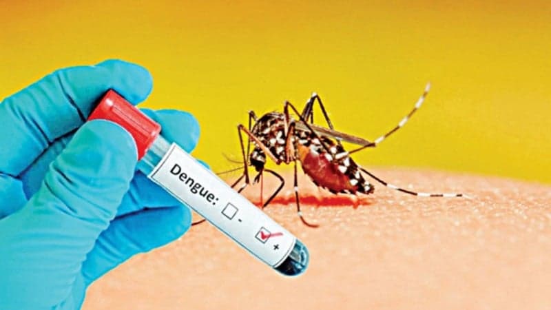 5 more die of dengue, 562 hospitalised in 24hrs