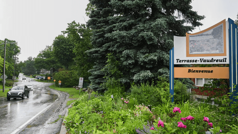 Trees granted human-like rights in historic decision by Canadian town