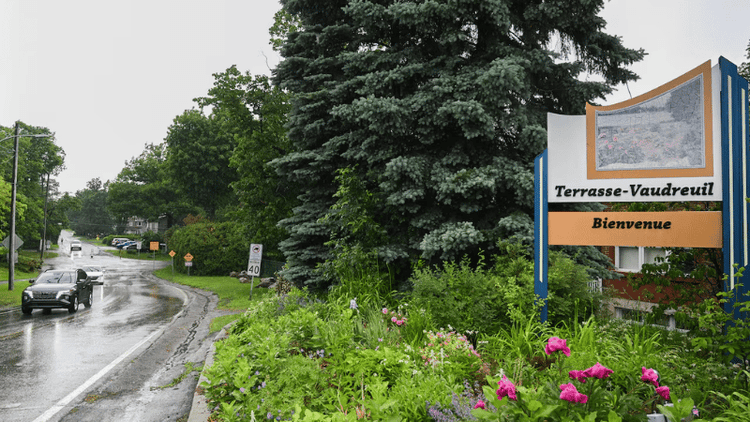 Trees granted human-like rights in historic decision by Canadian town