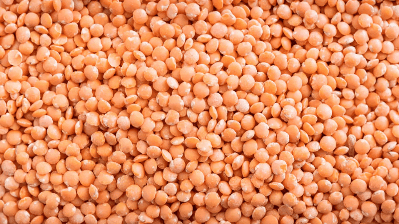 Govt to purchase of 10,000 tonnes of lentils