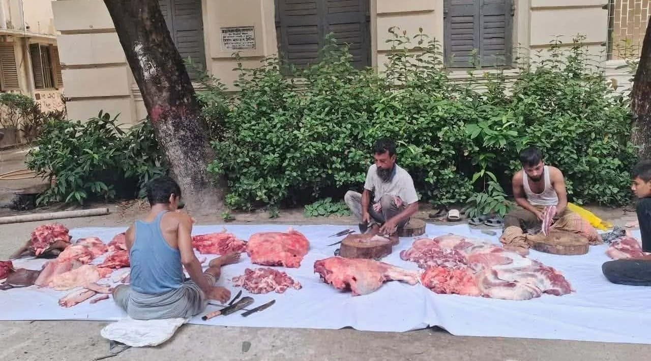 Students slaughter cow beside JnU VC’s residence to protest ban