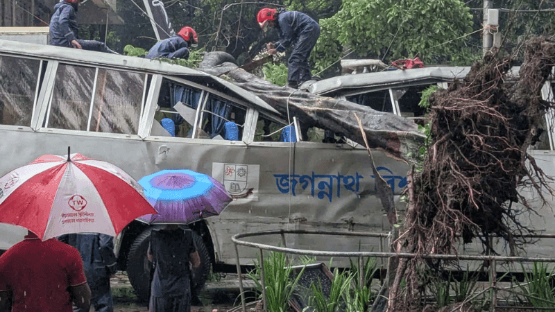 JnU bus crushed as tree topples during heavy rain