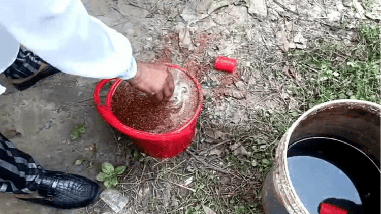 2 injured in hand bomb explosions in Chapainawabganj