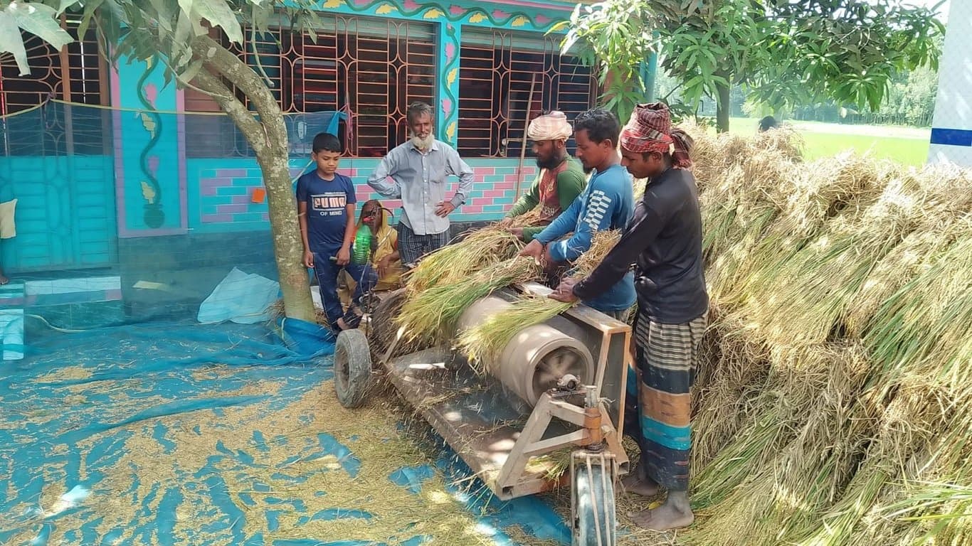 'We cannot even afford to buy pangas fish now'