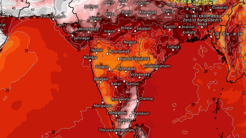 Extreme heat wipes out 31 million jobs a year in South Asia: World Bank