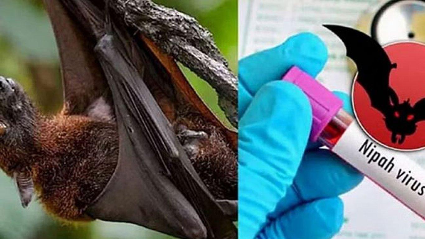 Nipah Infection: 100% mortality rate, children are the worse sufferers