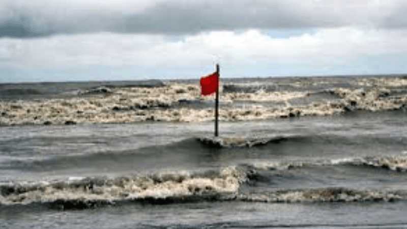 Depression forms over Bay of Bengal, BMD issues cautionary signal