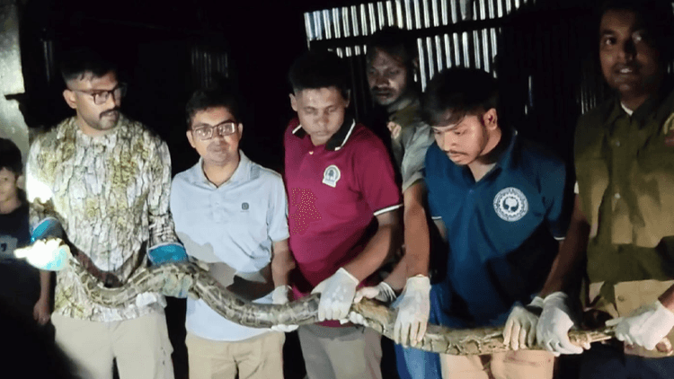 10-foot Burmese python rescued from house in Cox's Bazar's Ukhiya