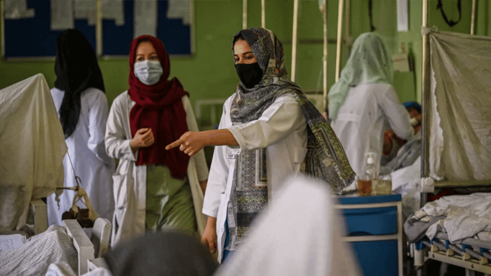 Afghan medical students ordered to leave Pakistan midway through studies