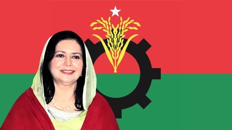 If BNP comes to power, safe childbirth will be ensured in upazilas: Dr. Zubaida Rahman