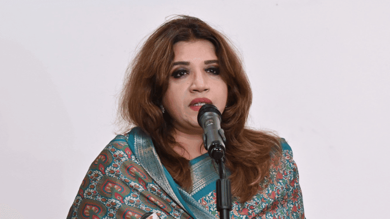 What state minister said about bringing Hadi murder accused back to country