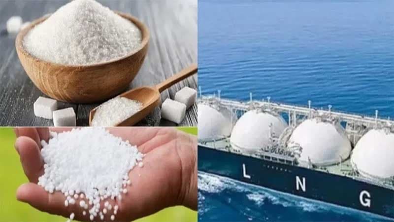 Import of LNG, 4 other products approved