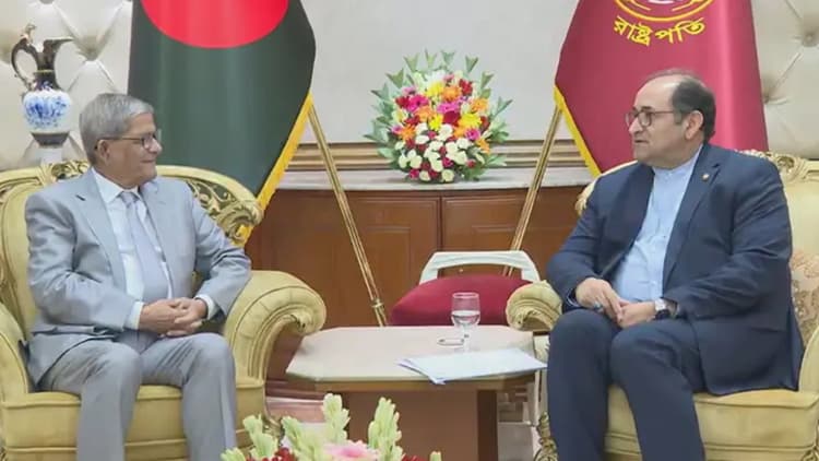 Iranian Ambassador meets President