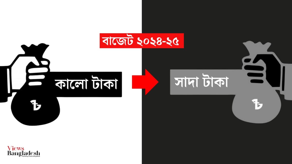 To what extent is the economy benefiting from the opportunity to whiten black money