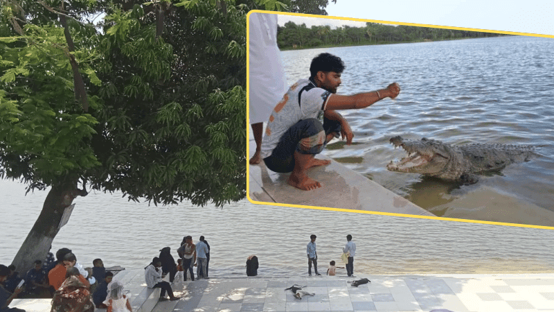 How long lives be risked as crocodile pond remains unprotected?