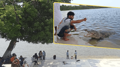 How long lives be risked as crocodile pond remains unprotected?