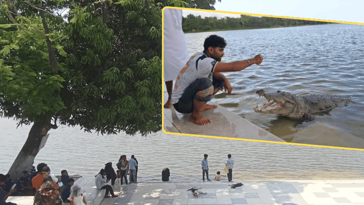 How long lives be risked as crocodile pond remains unprotected?