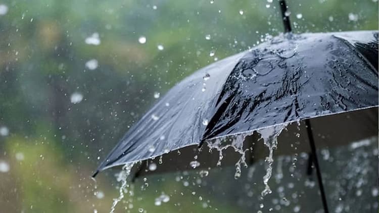 Heavy rain forecast in various parts of the country under low pressure impact
