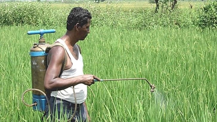 Reduce chemical fertilizers on arable land, save future generations.jpg