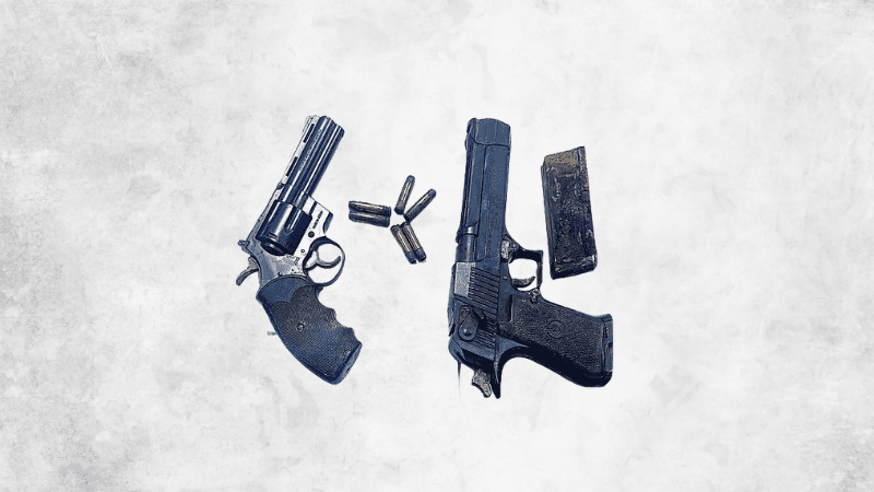 Pistol, revolver and bullets found in Khilgaon garbage dump