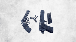 Pistol, revolver and bullets found in Khilgaon garbage dump