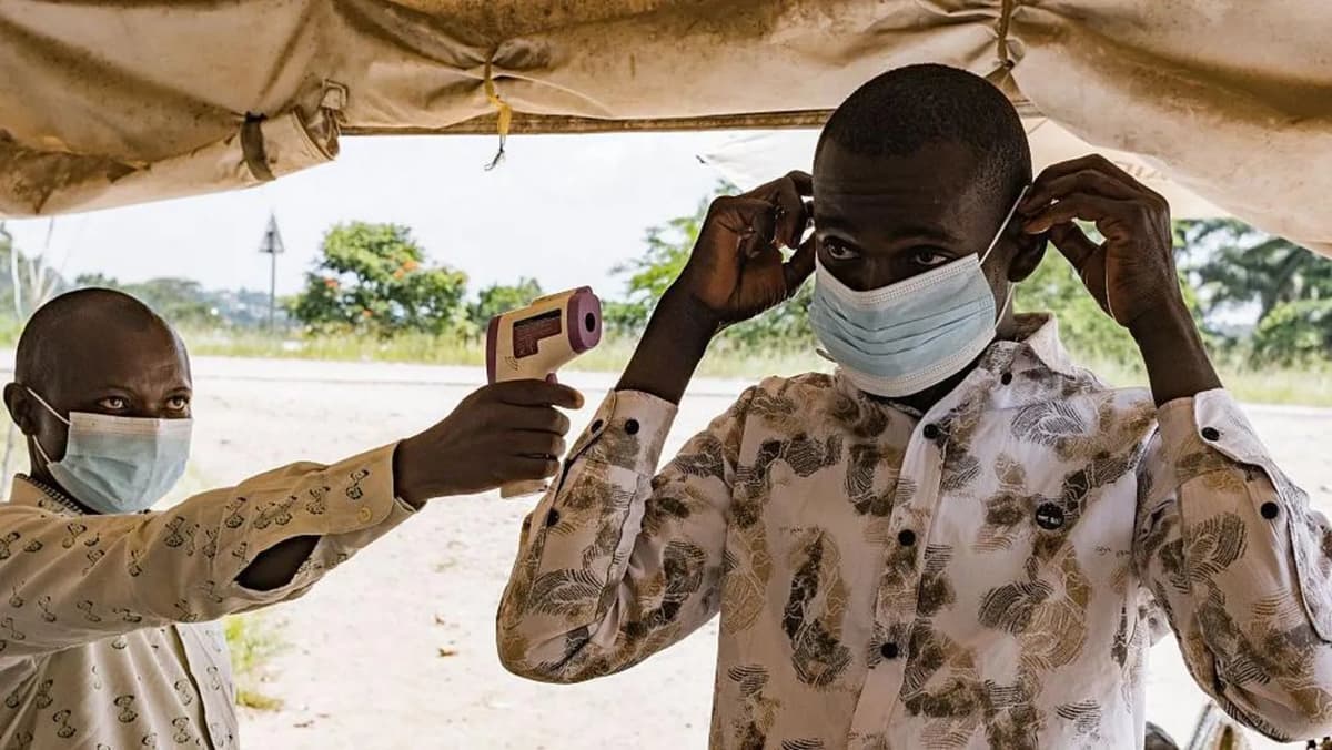 Ebola vaccine could take nine months: WHO