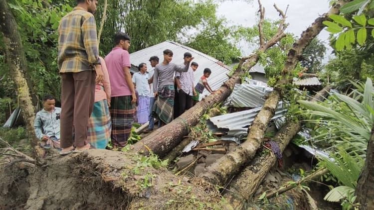 Mother, daughters killed as storm-uprooted tree falls onto house in Jamalpur