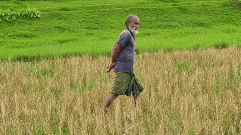 Elderly man stranded at zero point finally reunited with family