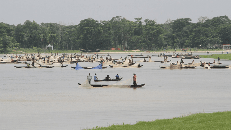 Halda river officially declared a 'fishery heritage'