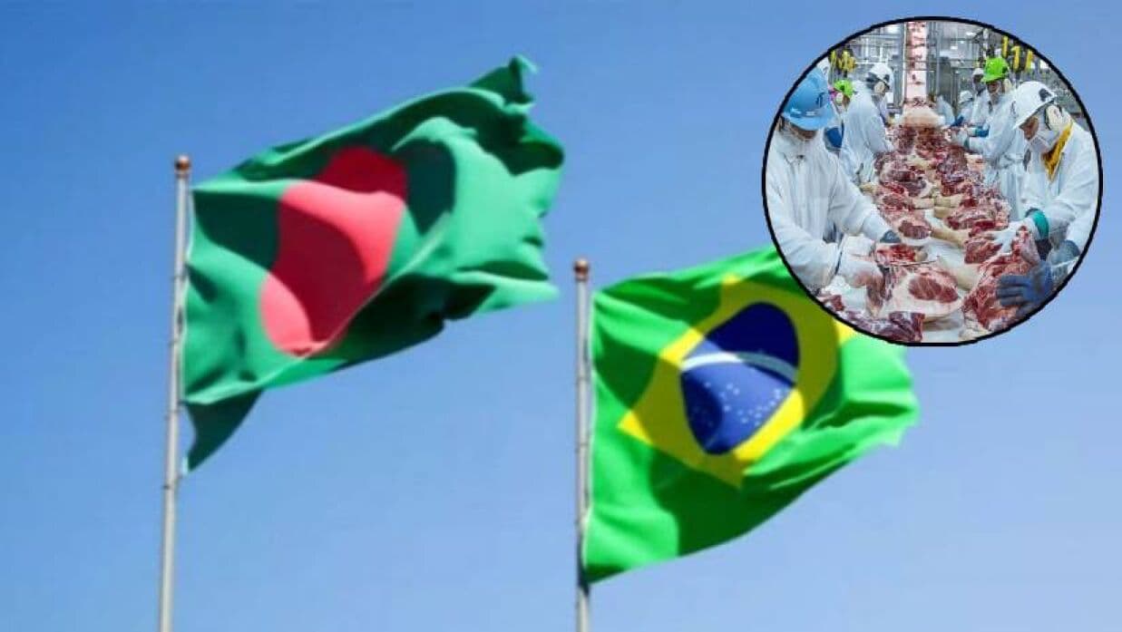 Ministry denies rumors of beef import from Brazil