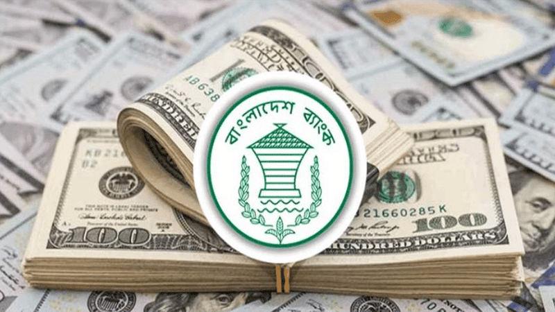 Remittance inflow surges 35.2pc in 1st 17 days of May