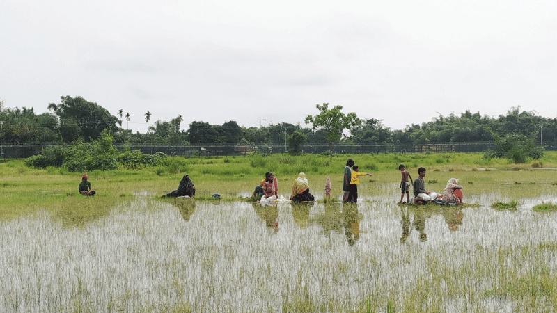 10 stranded at zero line for 30 hours, neither Bangladesh nor India accepting them