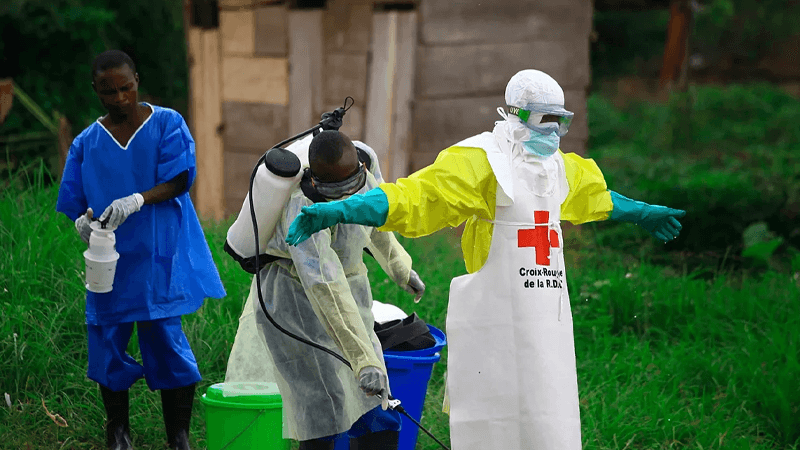 New Ebola outbreak in DR Congo kills 65