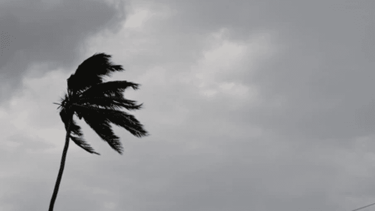 Storm with winds up to 60 kmph likely in eight regions by noon