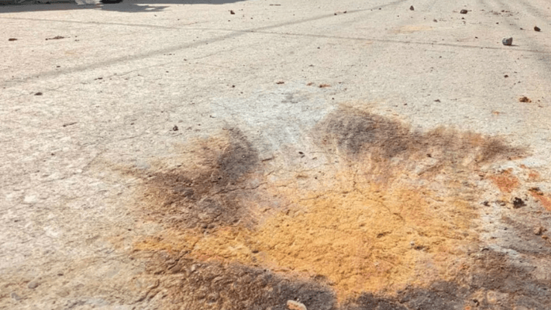 Cocktail explosion at Chobir Hut in Suhrawardy Udyan