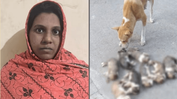 Woman arrested over drowning of 8 puppies