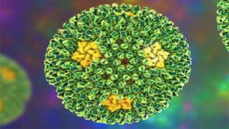 New virus infects five in Bangladesh