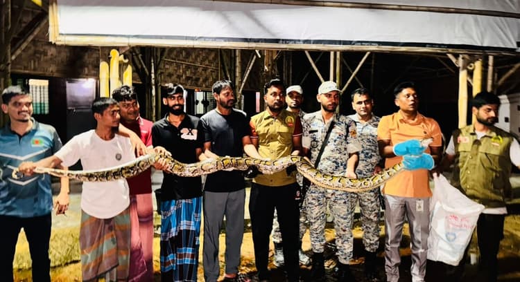 15-foot Burmese python rescued from Rohingya camp in Ukhiya