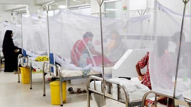 5 more die of dengue