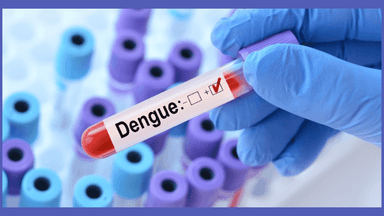 Free dengue tests in all govt hospitals till December 31