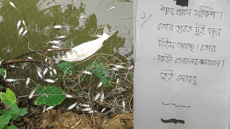 Fish worth Tk500,000 killed as miscreants poison pond