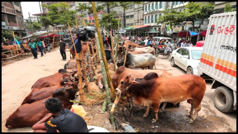 No cattle markets allowed in Aftabnagar : Appellate division