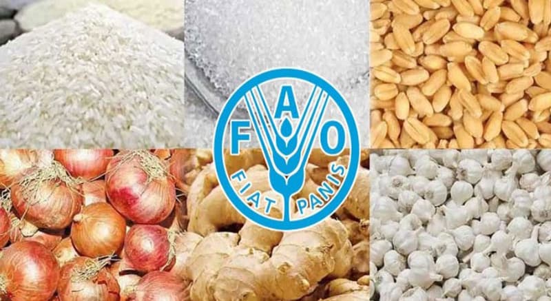 Food prices may surge if war exceeds 40 days: FAO