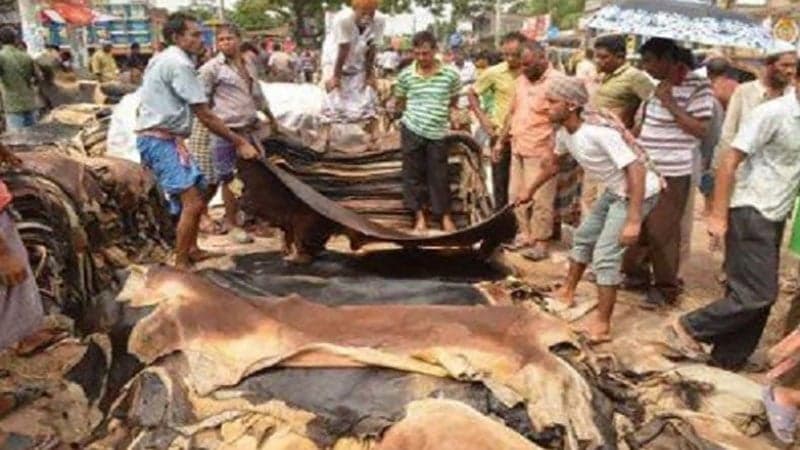 শুরু হয়েছে চামড়া বেচাকেনা, গরুর চামড়ার দাম সর্বোচ্চ ৮০০-৯০০ টাকা