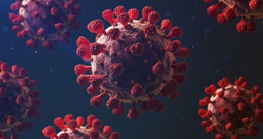21 more COVID-19 cases detected across country