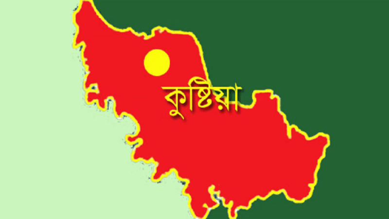 Female doctor assaulted in Kushtia