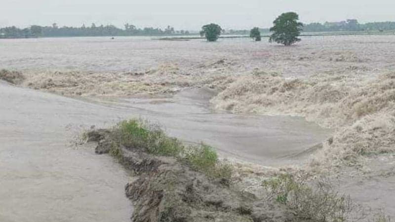 Five rivers swelling above danger level: FFWC